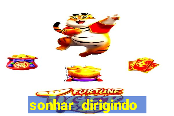 sonhar dirigindo carro jogo do bicho